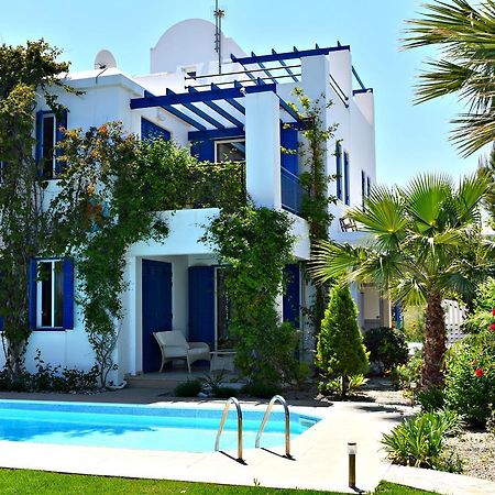 Latchi Beach Front Villa - Private Heated Pool - Amazing Uninterrupted Sea Views Polis المظهر الخارجي الصورة